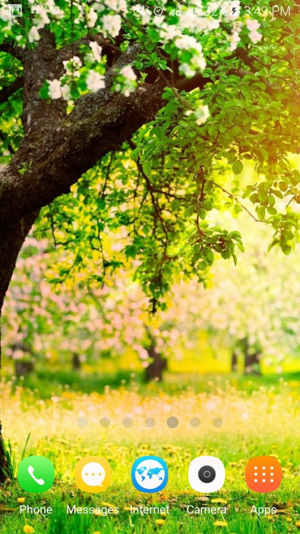 дерево летом