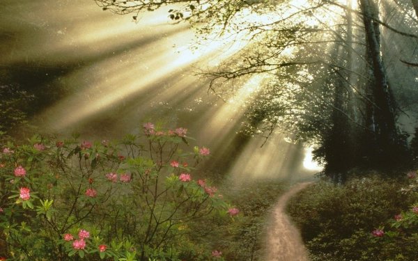 сказочная природа