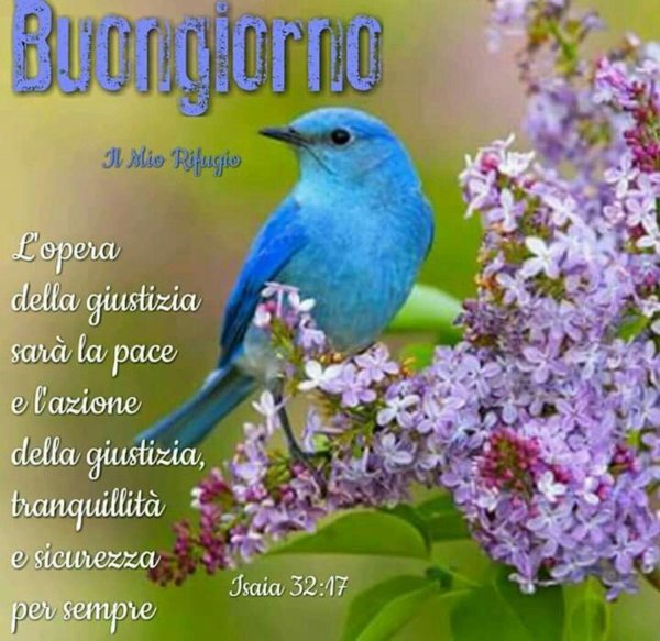 птица голубая