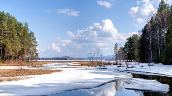 весенние пейзажи