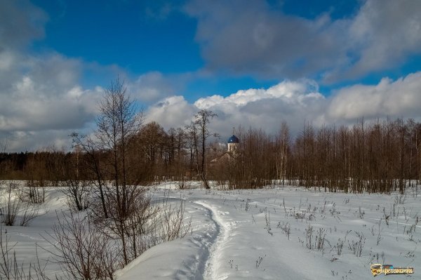зимние пейзаж