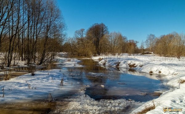 весенние пейзажи