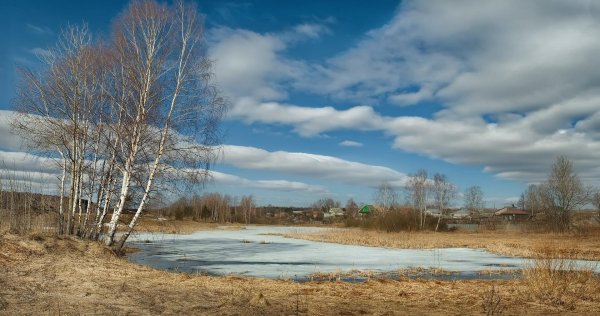 весенняя проталинка левитана