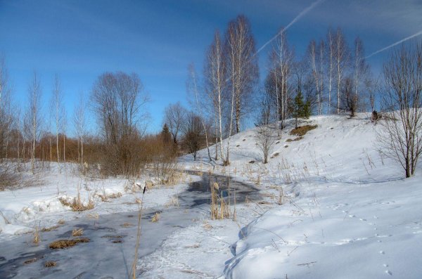 природа ранней весной