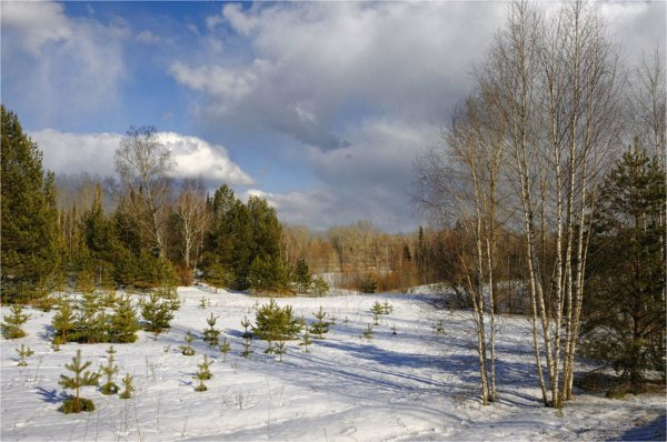 Ранняя весна пейзажи