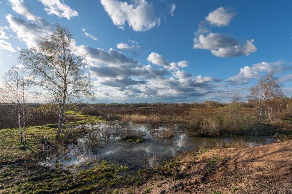 апрель природа