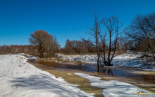весенний разлив реки шерна