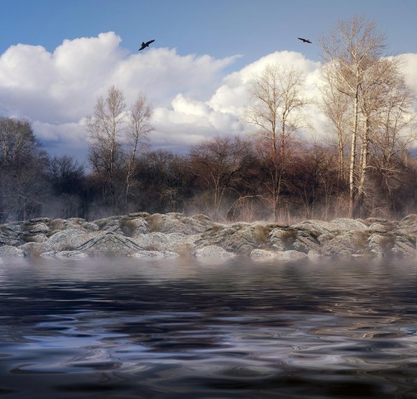 зимняя река