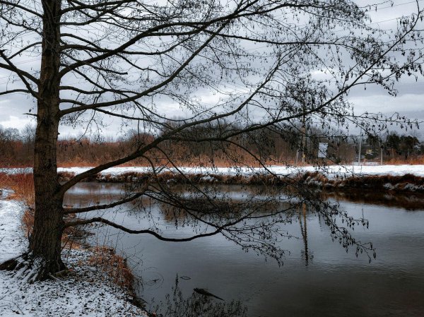 природа март