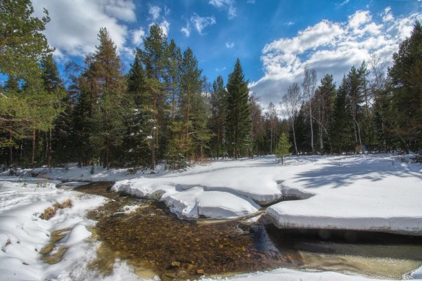 весенние пейзажи
