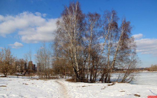 апрельские проталины