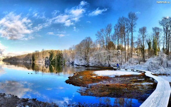 рощино ленинградская область