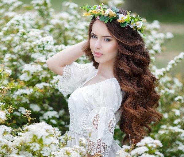 красота женщин