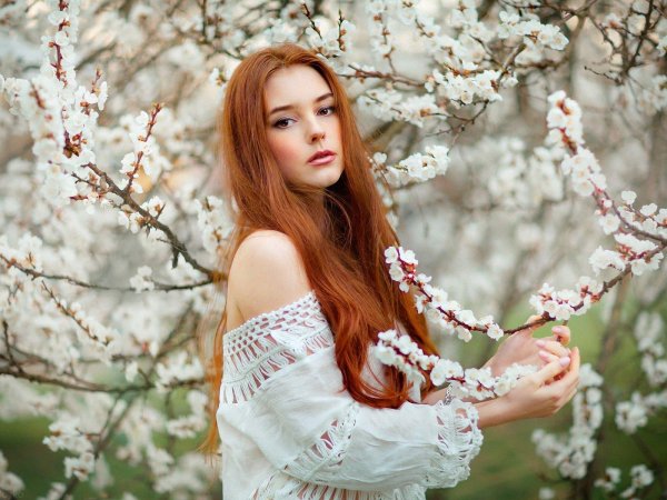 ольга бойко александра гирская