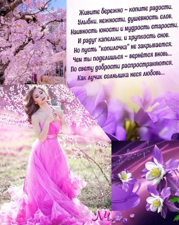 стихи стихи