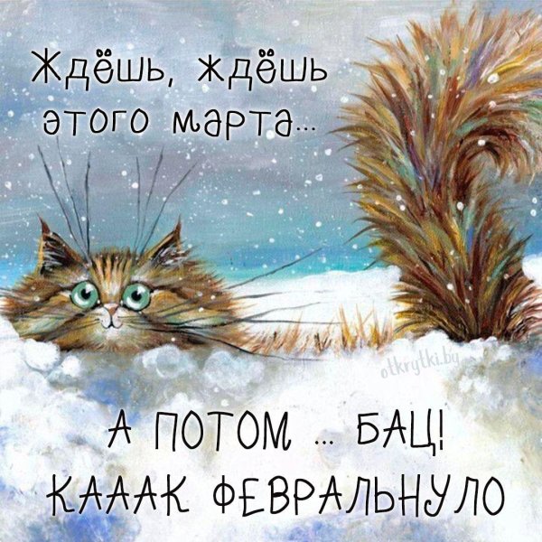 рисованные коты