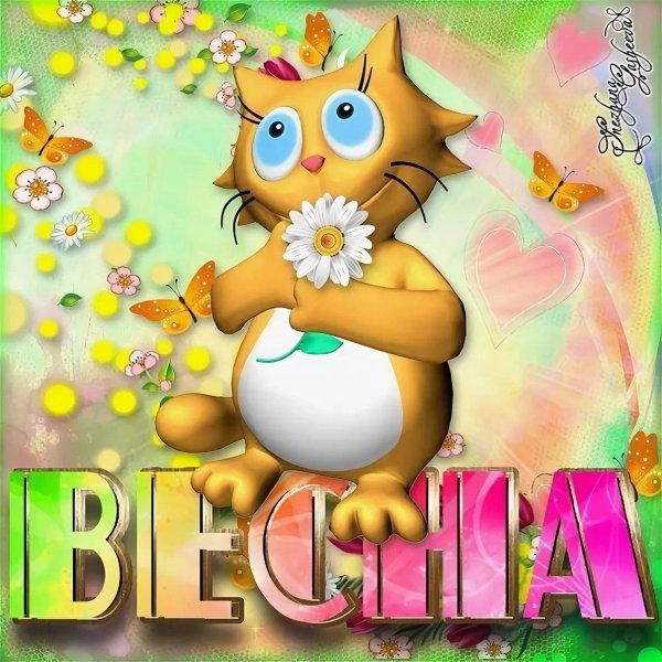 открытка с 1 марта прикольные