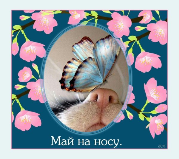 майские дни