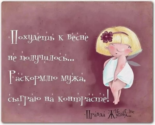 веселые высказывания