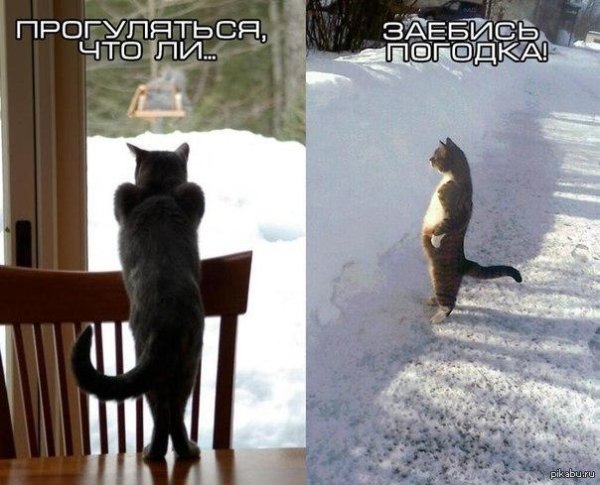 приколы про зиму