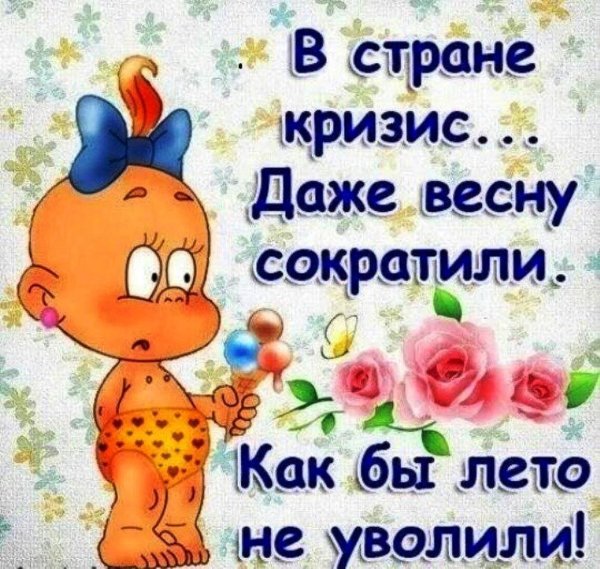 смешные открытки