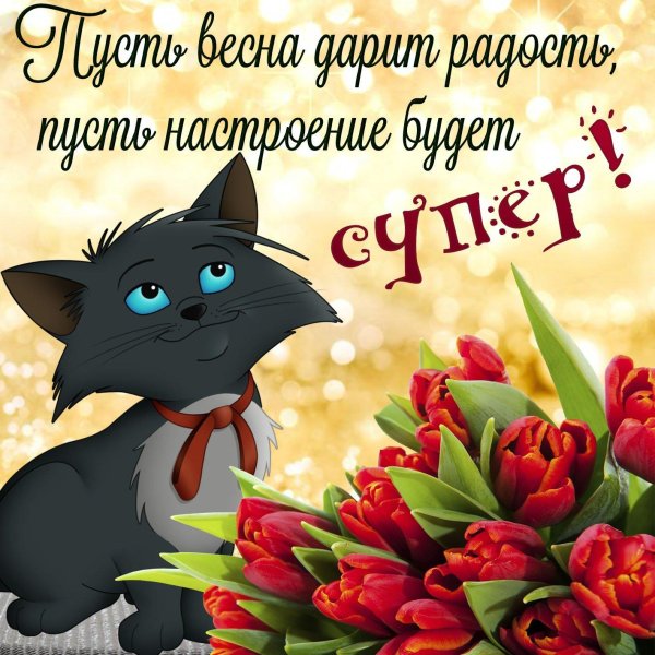 мультяшный кот