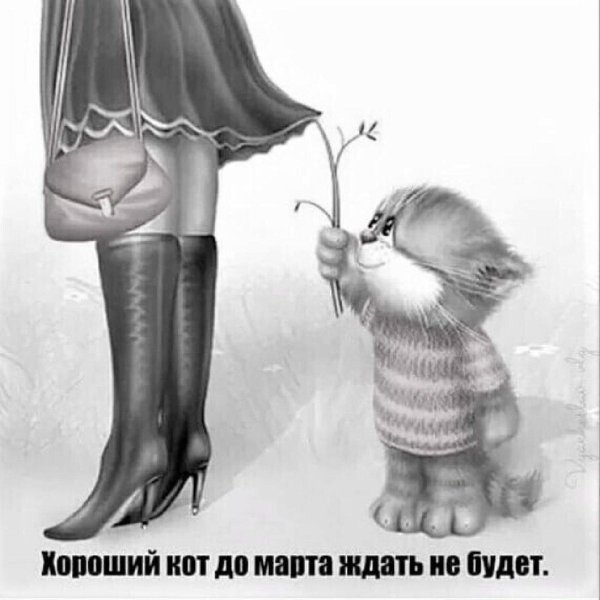 котики алексея долотова