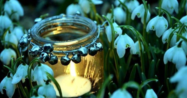 Весна необычные