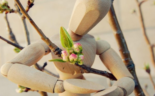 деревянные человечки