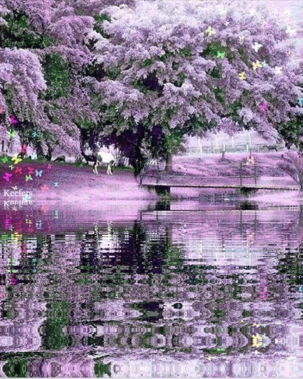 сады семирамиды цветущая сирень