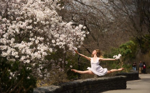 танец балерины