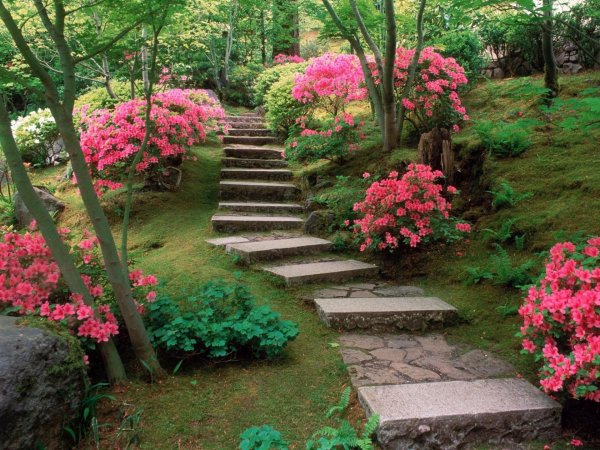 хелен парк ландшафт