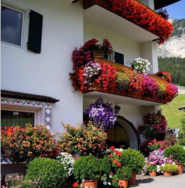 цветущий балкон