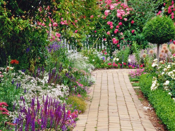 миксбордер кантри