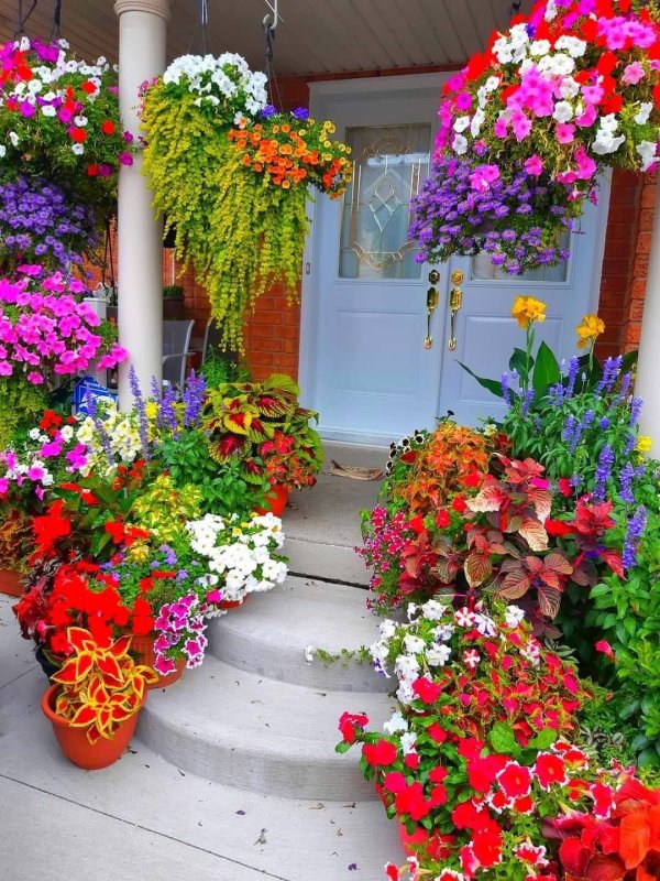 patio flowers