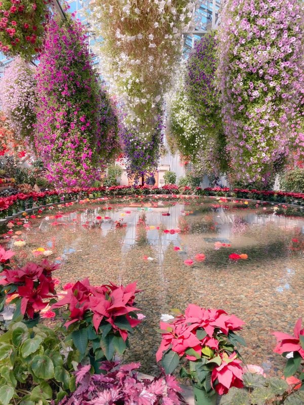 ботанические сады