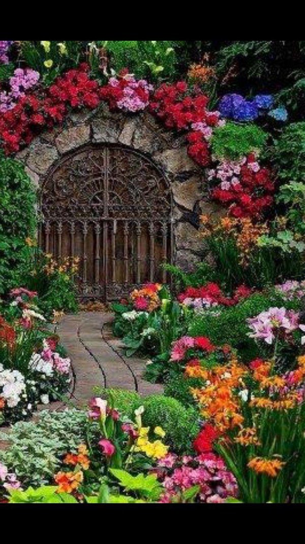 дизайн сада