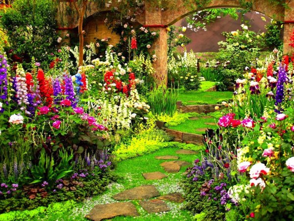 nice garden