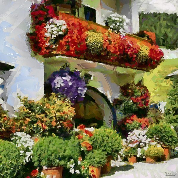 дом с цветами