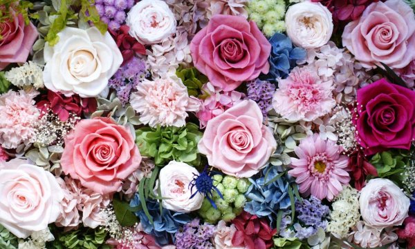 цветочные фоны