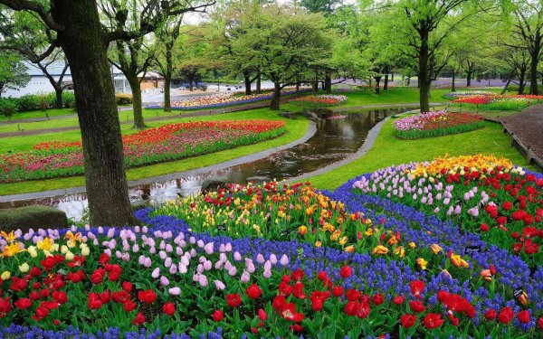 keukenhof gardens нидерланды