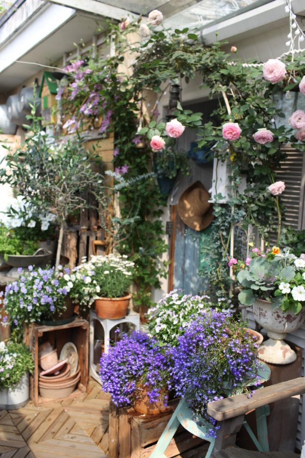 французский прованс сельский дворик