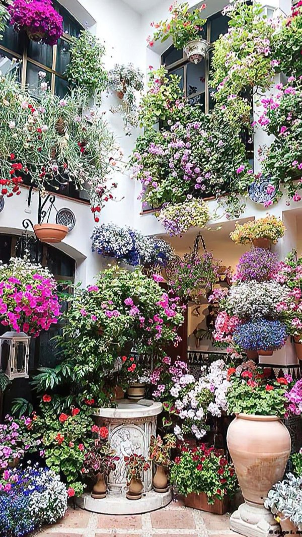 петуния ампельная вертикальное озеленение