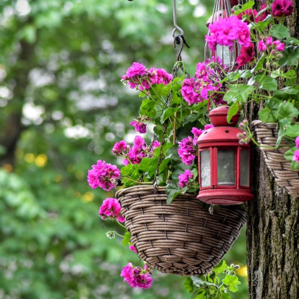 подвесное кашпо