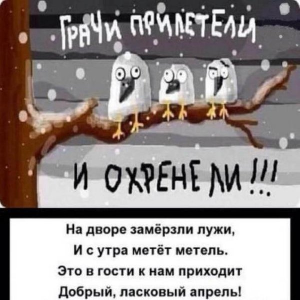 позитивные открытки зимние