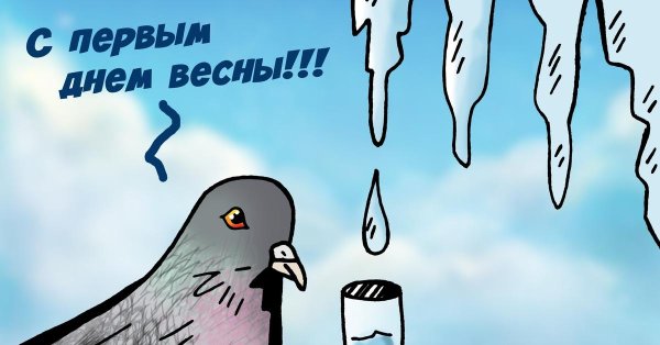 птичка голубь