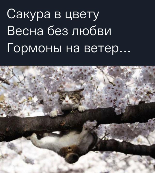 это весна