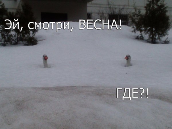 снег весной