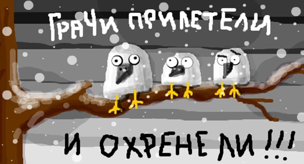 прилетели грачи