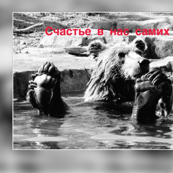 жизнь хороша